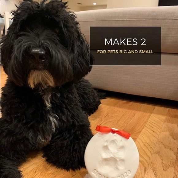 NIB DIY Pet Keepsake Kit - Picture 3 of 6